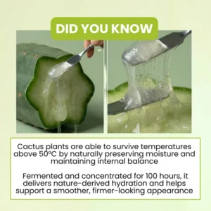 Hybella Cactox Cooling V-Up Mask