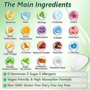 Vilnexa™ Moringa X Berberine Nano Microneedle Patch