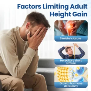 TAILEDEN® GH-Support Height Spray