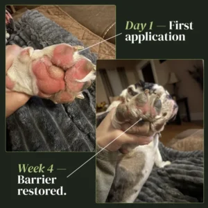 BalanceVie Pet Anti – itch Spray