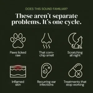 BalanceVie Pet Anti – itch Spray