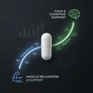 Orobody Calmora The Calm You’ve Been Missing