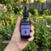 MoreLife – Sulforaphane Liquid Drops