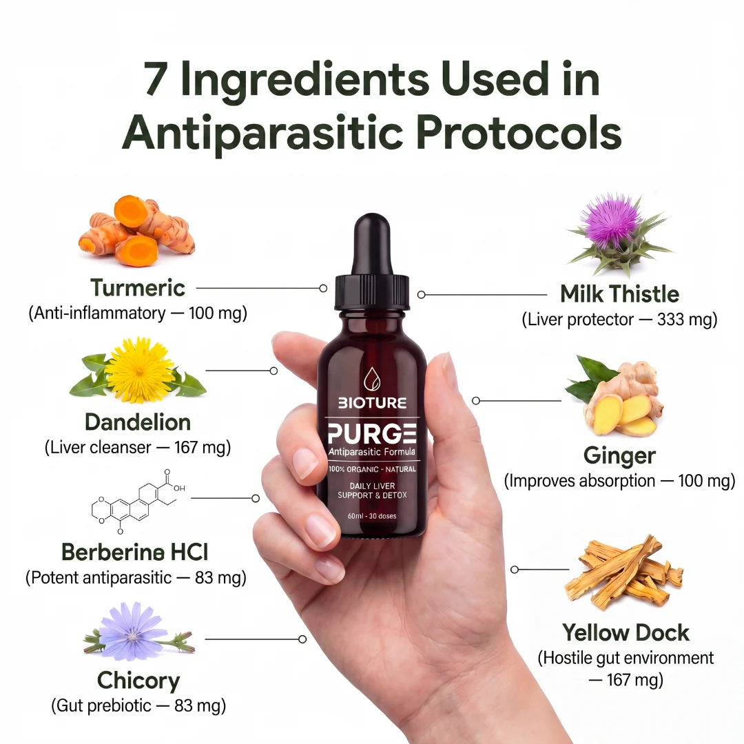 PURGE™ — Natural Antiparasitic Formula