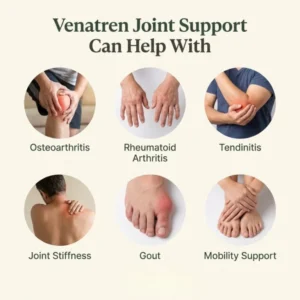 Venatren Bee Venom Glucosamine Chondroitin & Turmeric Supplement