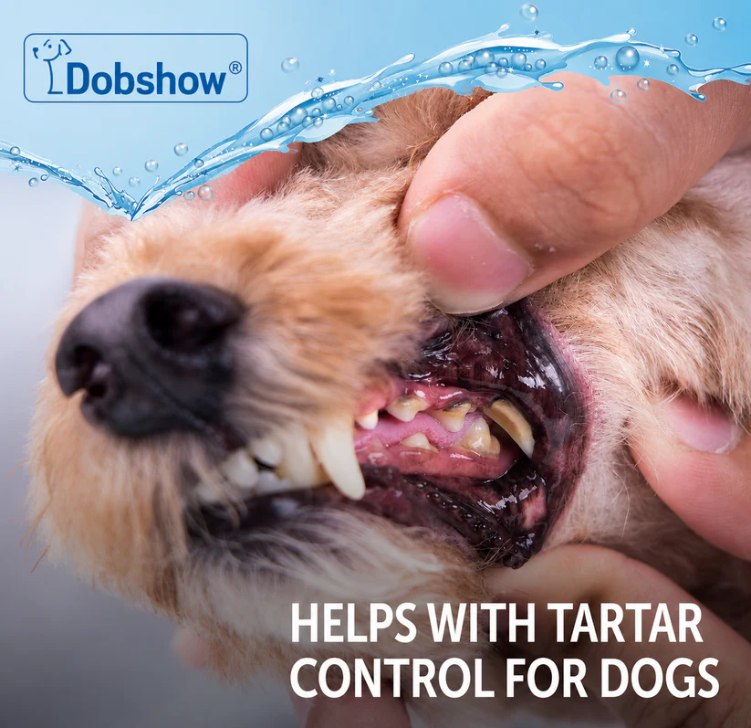 Dobshow Pet Oral Tartar Remover